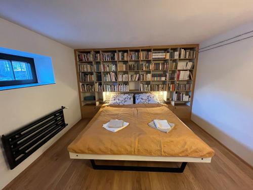 a bedroom with a bed and a book shelf at Bydlit cz in Brno