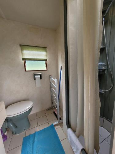 a small bathroom with a toilet and a shower at Parkowy Kudowa in Kudowa-Zdrój