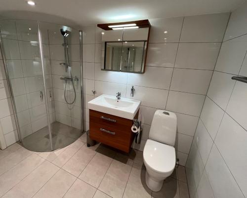 a bathroom with a toilet and a shower and a sink at Plomben B in Båstad