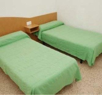 two beds in a room with green sheets at Hotel Cardós in Ribera de Cardós