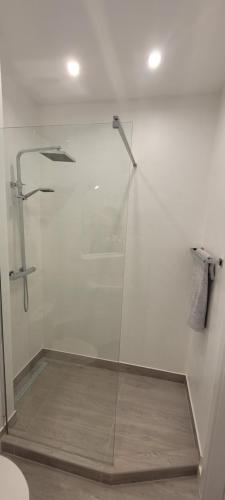 W łazience znajduje się prysznic ze szklanymi drzwiami. w obiekcie Apartament Centrum Szczecin w Szczecinie