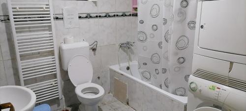 Apartment Splitska tesisinde bir banyo
