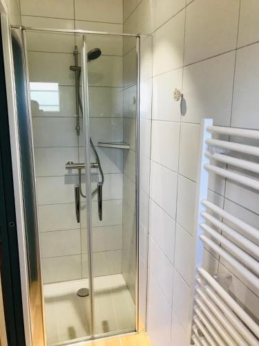 une douche avec une porte vitrée dans une salle de bain dans l'établissement Chalet de la Baume, à La Châtelaine