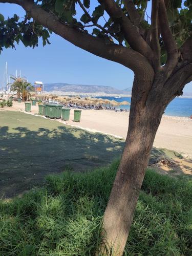 a tree sitting next to a beach next to the ocean at Blue Seaview Suites in Piraeus