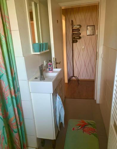 a bathroom with a sink and a shower at Lilo Luisa in Weinheim