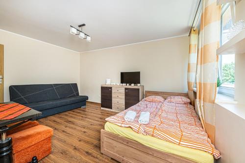 Телевизор и/или развлекательный центр в Apartament Orzeł