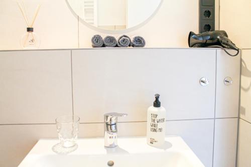 a bathroom with a sink and a mirror at Tropical Apartment - für Freunde & Familien, stadtnah, Parkplatz, E-Ladestation, Gitterbox für Fahrräder, Fitnessstudio, digitale Gästemappe mit Restaurant- und Unternehmenstipps in Koblenz