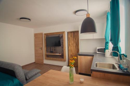 Televizorius ir (arba) pramogų centras apgyvendinimo įstaigoje Apartments with SAUNAS - Gobi