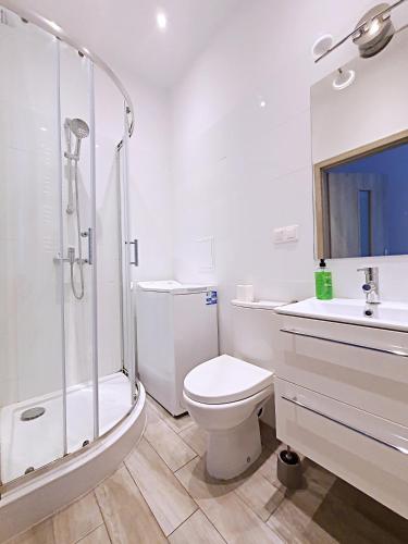 A bathroom at Perfect Stay - Apartament przy Zamku
