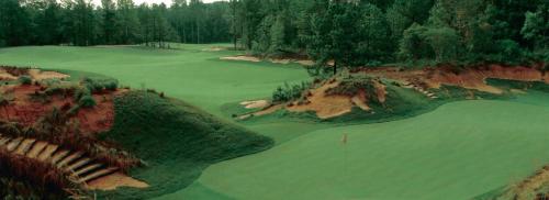 an aerial view of a green golf course at Legends and Masters Iron Suite in Pinehurst