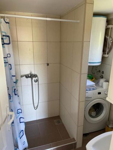 La salle de bains est pourvue d'une douche et d'un lave-linge. dans l'établissement Apartman Magdalena, à Banja Koviljača