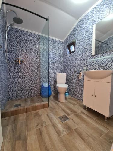 a bathroom with a toilet and a sink and a shower at Casute la "Doi pasi de Castel" in Hunedoara
