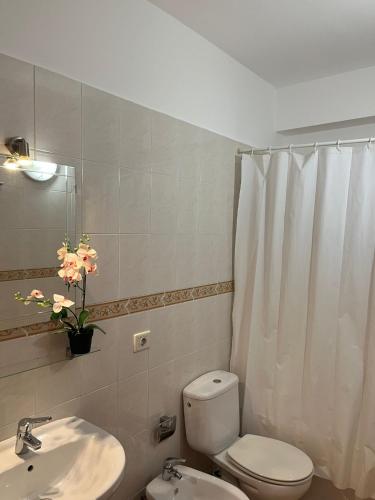 a bathroom with a toilet and a sink at Apartamento Playa Honda in Playa Honda