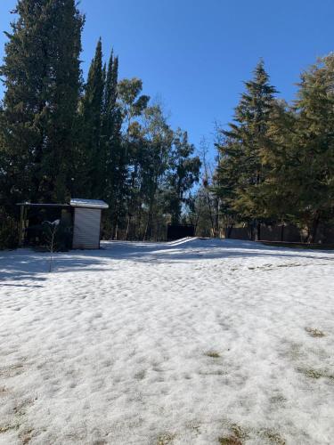 Tiny House Los Pinos – Photos 3