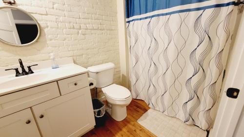 a bathroom with a toilet and a shower curtain at Family-Friendly 3 bedroom in Historic building! in Lynchburg