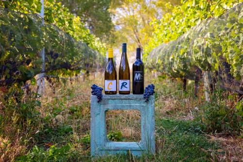 two bottles of wine sitting on a stand in a field at Crowsnest Vineyards Guesthouse in Keremeos