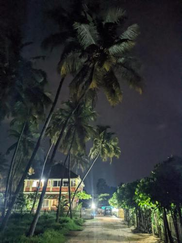 a group of palm trees on a dirt road at night at Glucklich Beach Cottages in Kundapur