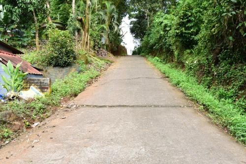 an empty road in the middle of a forest at Pauls Retreat Wayanad in Wayanad