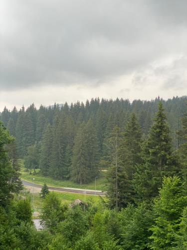 Φυσικό τοπίο κοντά σε αυτό το διαμέρισμα