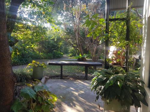 a bench sitting in the middle of a garden at Caprivi River Lodge in Katima Mulilo