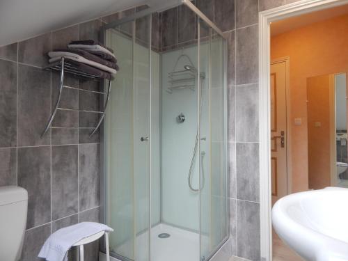 uma casa de banho com um chuveiro, um WC e um lavatório. em Le Lion D'or em Ouroux