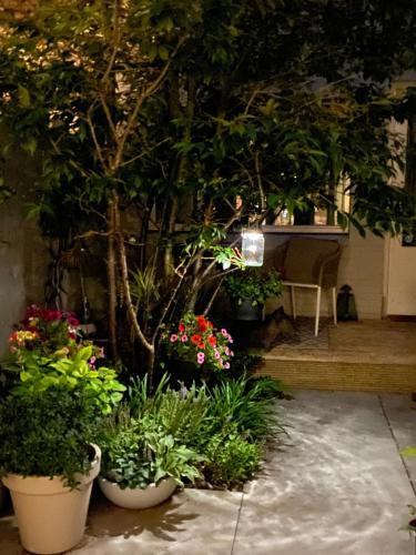 ノールトウェイク・アーン・ゼーにあるRomantic Wellness BnB Noordwijkの鉢植えの花園