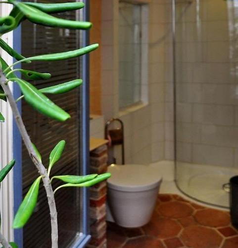 La salle de bains est pourvue de toilettes, d'une douche et d'une plante. dans l'établissement Mobydick, à Trouville-sur-Mer