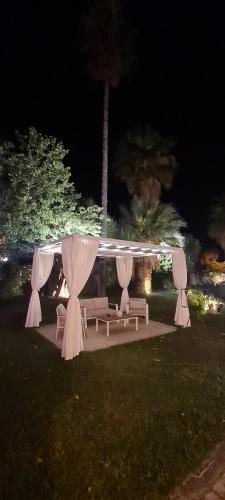 ナルドにあるSalento - Casa Vacanza di appartamento open spaceの夜のベンチとカーテンのあるパビリオン