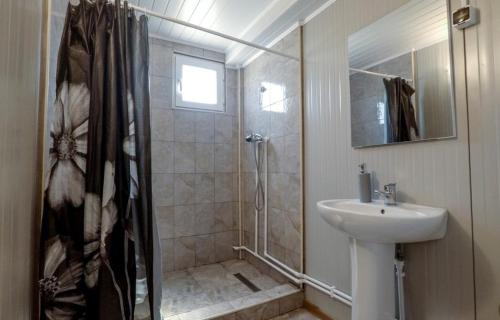 a bathroom with a shower and a sink at Cazare Sulinaa in Sulina