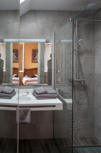 une salle de bain avec une douche, un lavabo et un miroir dans l'établissement LOGIS HOTEL - Le Relais Saint Vincent, à Ligny-le-Châtel