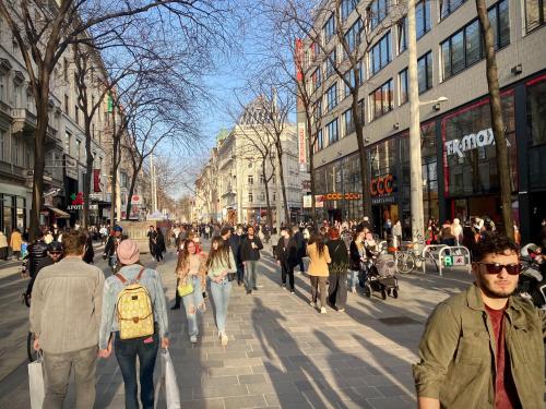 a crowd of people walking down a busy city street at Pension Primavera in Vienna