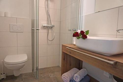 Un baño con lavabo, inodoro y ducha. en St. Lukas Apartments, en See