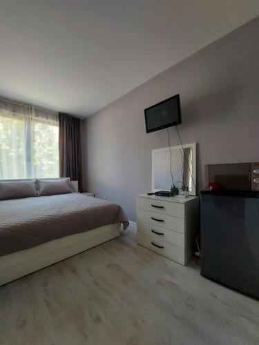 a bedroom with a bed and a flat screen tv at Rumi place in Varna City