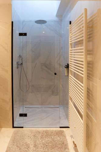 a shower in a bathroom with a glass shower stall at HUIS19 Luxury apartments in Ghent