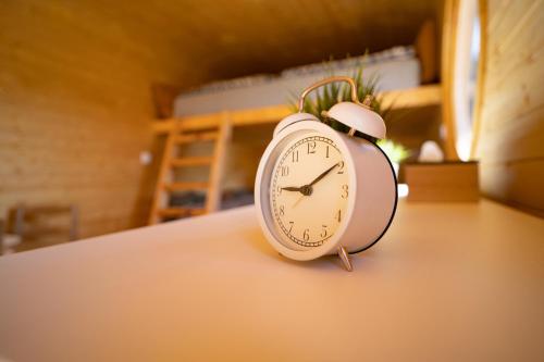 a clock sitting on top of a table at Maringotky Na Růžku in Nová Ves