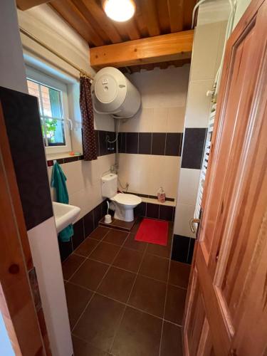 a small bathroom with a toilet and a sink at Chata Anna in Novoť