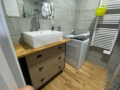 a bathroom with a sink and a washing machine at appartement 8 couchages au lioran rando vtt ski in Le Lioran