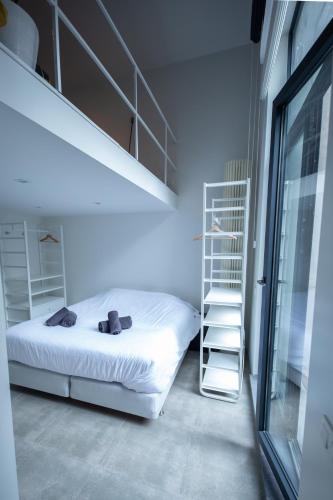 a bedroom with a bunk bed and a ladder at Klapdorp in Antwerp