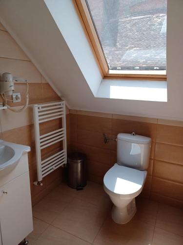 a bathroom with a toilet and a skylight at Casa Mario in Sibiu