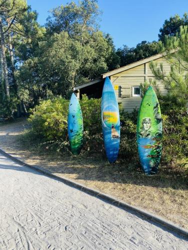 three surfboards are lined up on the side of a road at Village Vacances La Forêt des Landes in Labenne