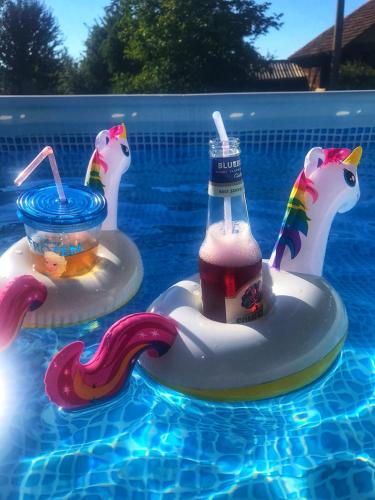 two inflatable animals in a swimming pool with drinks at Bukovički mir in Arandjelovac