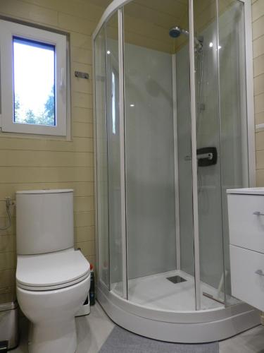 a bathroom with a toilet and a shower at Gîte Les Marlières in Esquéhéries