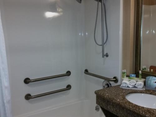 Ett badrum på Holiday Inn Express & Suites New Buffalo, MI, an IHG Hotel