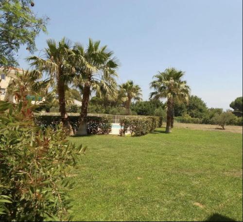 un parco con palme e erba verde di L’AZUREENNE - 2/4 Pers Cosy, spacieux avec piscine a La Seyne-sur-Mer