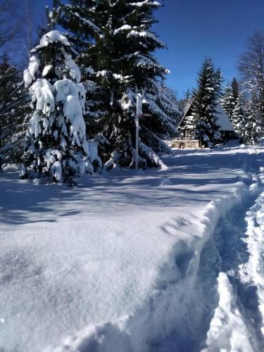 a snow covered yard with trees and a house at Tilia Cottage Banjska stena in Mitrovac