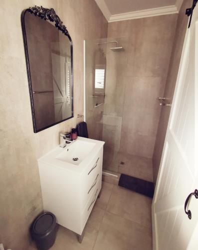 uma casa de banho com um lavatório branco e um chuveiro em 10 Jock Meiring Guesthouse Unit 2 em Bloemfontein