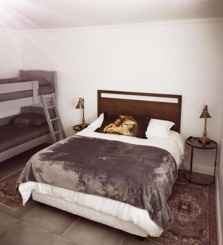 um cão deitado numa cama num quarto em 10 Jock Meiring Guesthouse Unit 2 em Bloemfontein