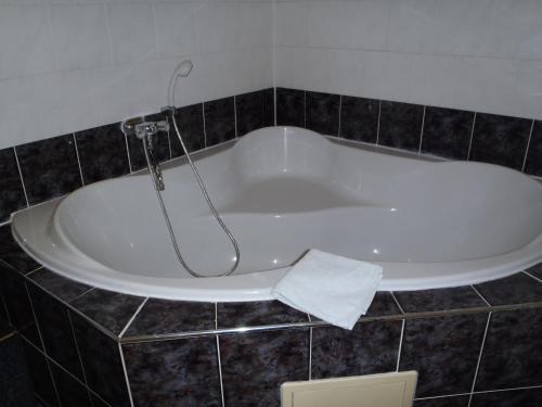 a bath tub with a shower in a bathroom at Pension a restaurace Kůlna in Chomutov