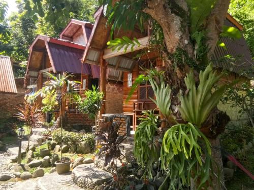 un jardin en face d'une maison ornée de plantes dans l'établissement Lucky Bamboo' Bungalows-Resto and OrangUtan Jungle Trekking Tours, à Bukit Lawang