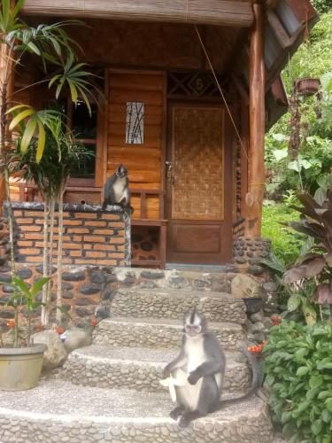 two monkeys sitting in front of a house at Lucky Bamboo'Bungalows-Resto and Orangutan Jungle Trekking Tours in Bukit Lawang